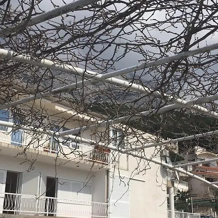 Apartment Zamicka