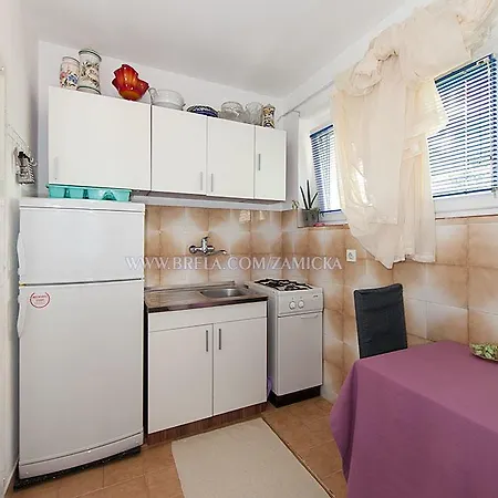 Apartment Zamicka