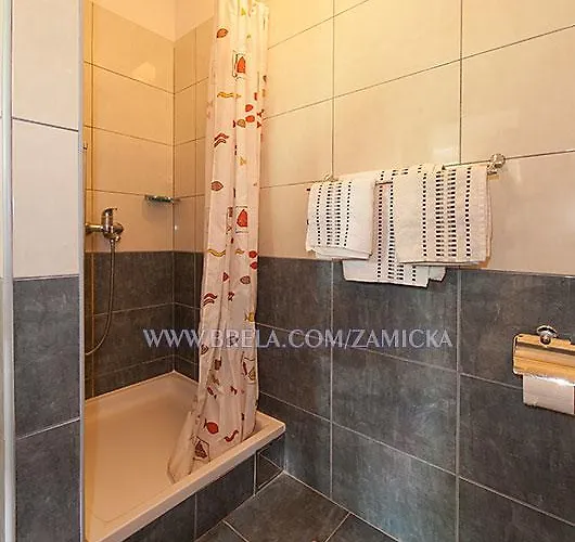 公寓 Zamicka 布雷拉